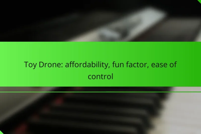 Toy Drone: affordability, fun factor, ease of control
