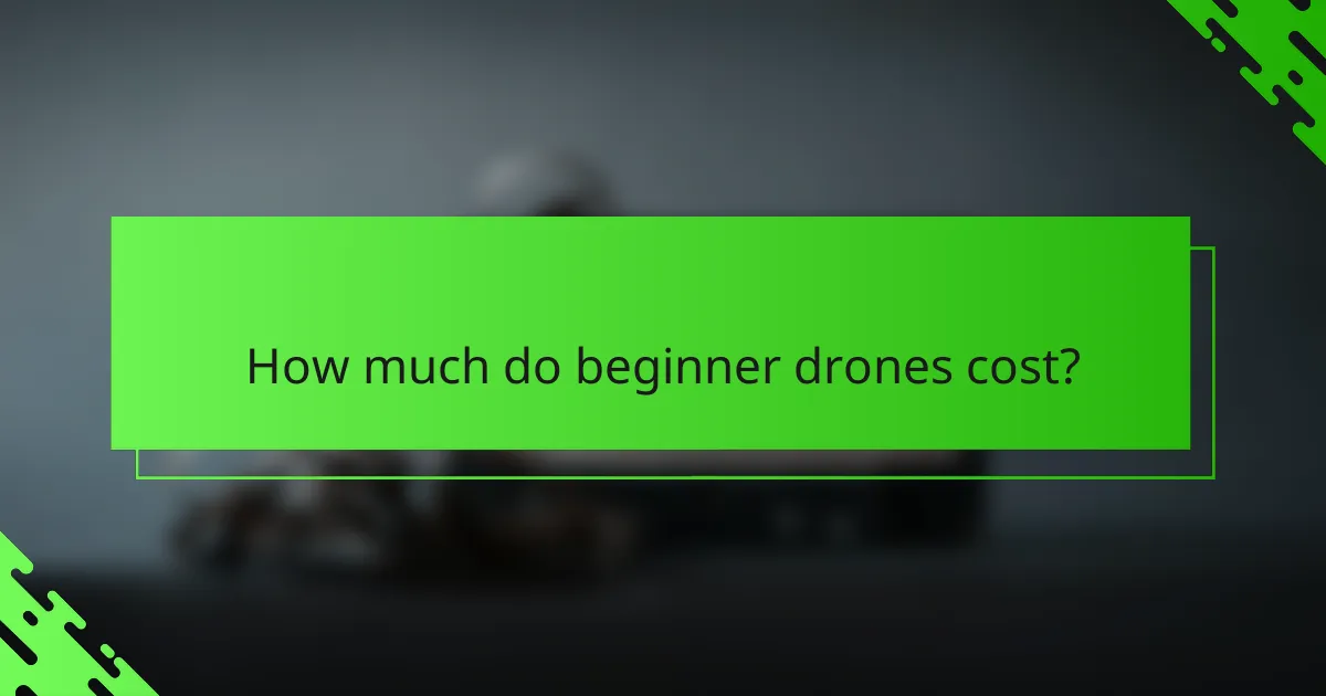 How much do beginner drones cost?