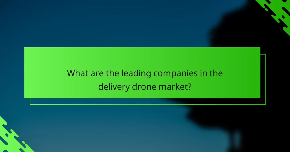 What are the leading companies in the delivery drone market?