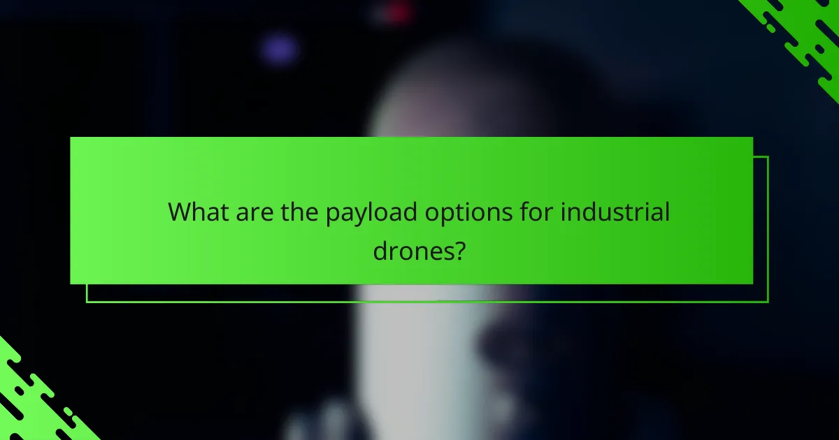 What are the payload options for industrial drones?